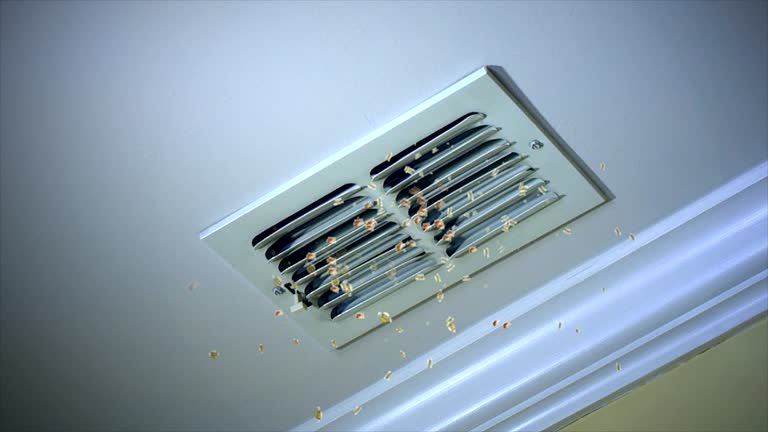 Trusted Steele, AL Airduct Cleaning Experts