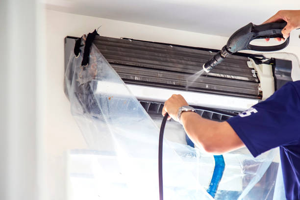 Air Duct Mold Removal in Steele, AL