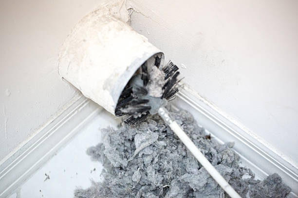 Best Air Duct Cleaning Near Me  in Steele, AL